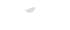 Vale